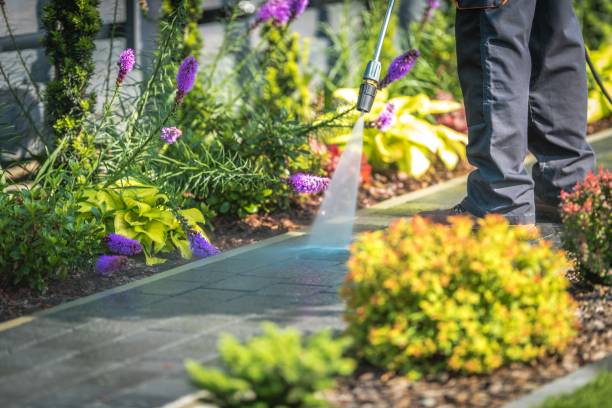 Best Gutter Cleaning  in Southlake, TX
